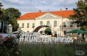 Gumiszervizek Kunszentmiklós