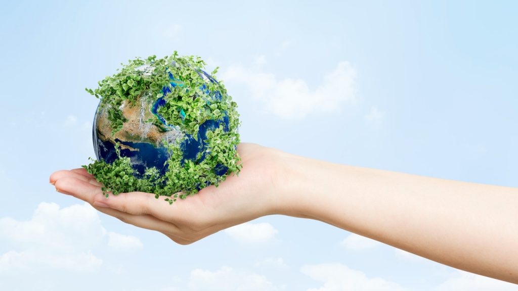 Óriási lépést tett a Toyo Tires a zöldebb jövőért